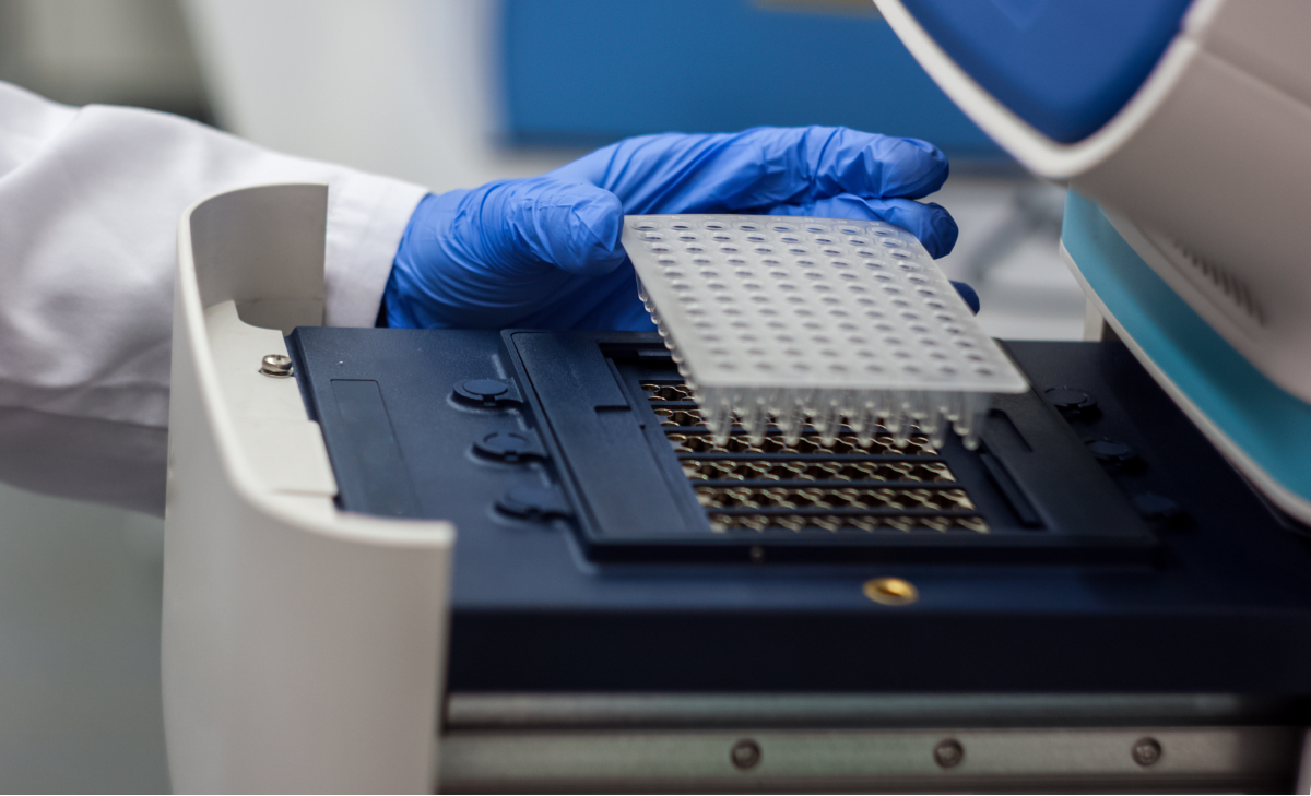 Researcher holding PCR tube to put into PCR machine