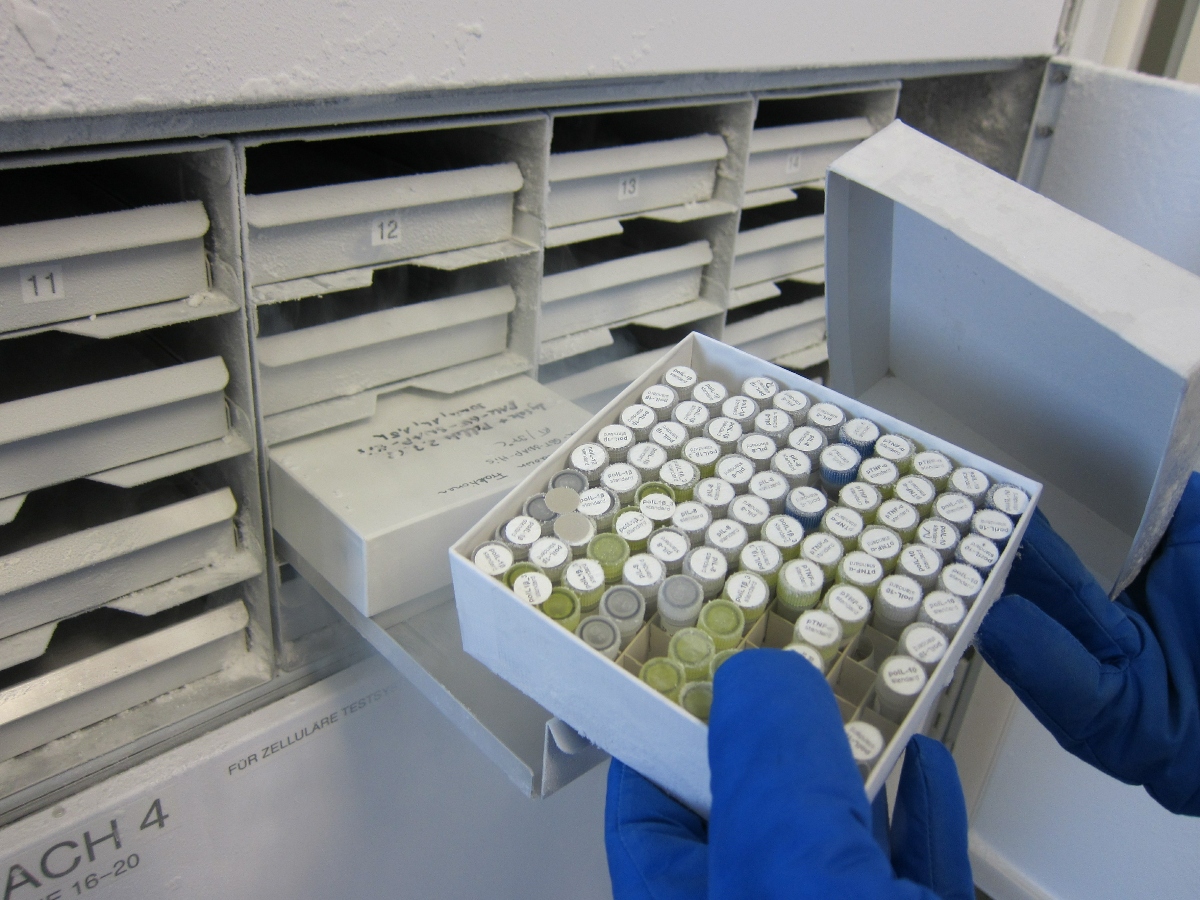 Lab technician selecting biospecimens from a biobank repository