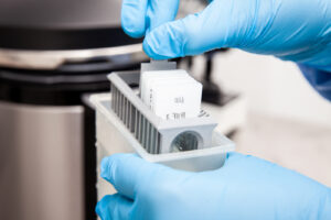 Scientist preparing slides with paraffin embedded tissue for protein extraction