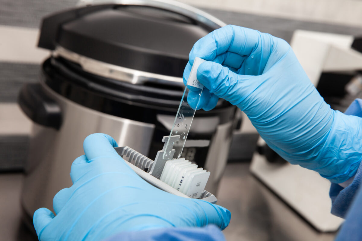 Scientist preparing slides with tissue samples for immunohistochemistry assay