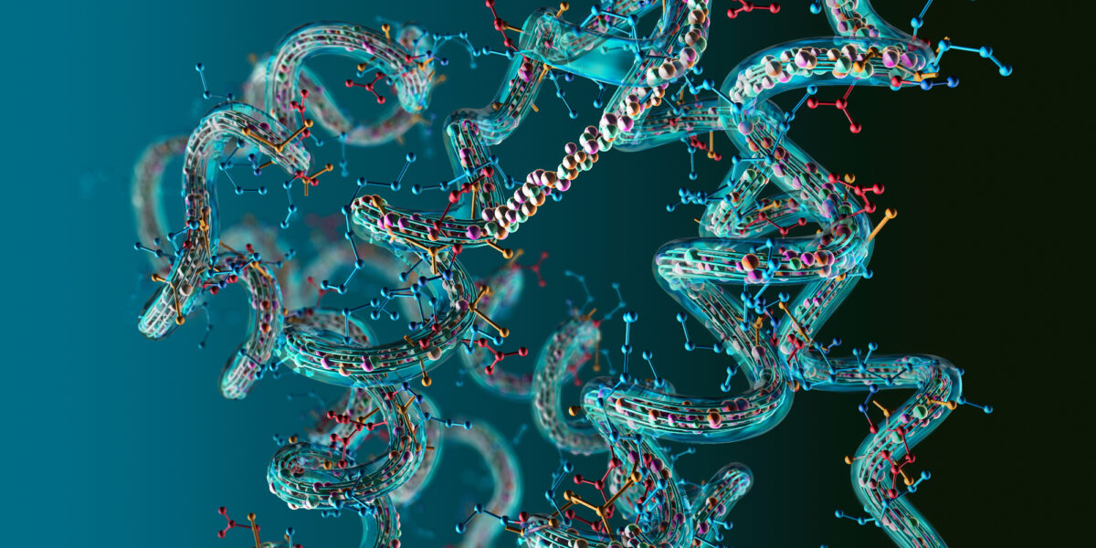 Protein expression diagram